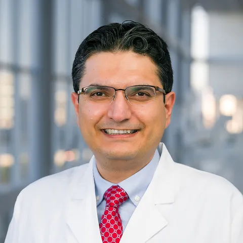 Sina Rahmani